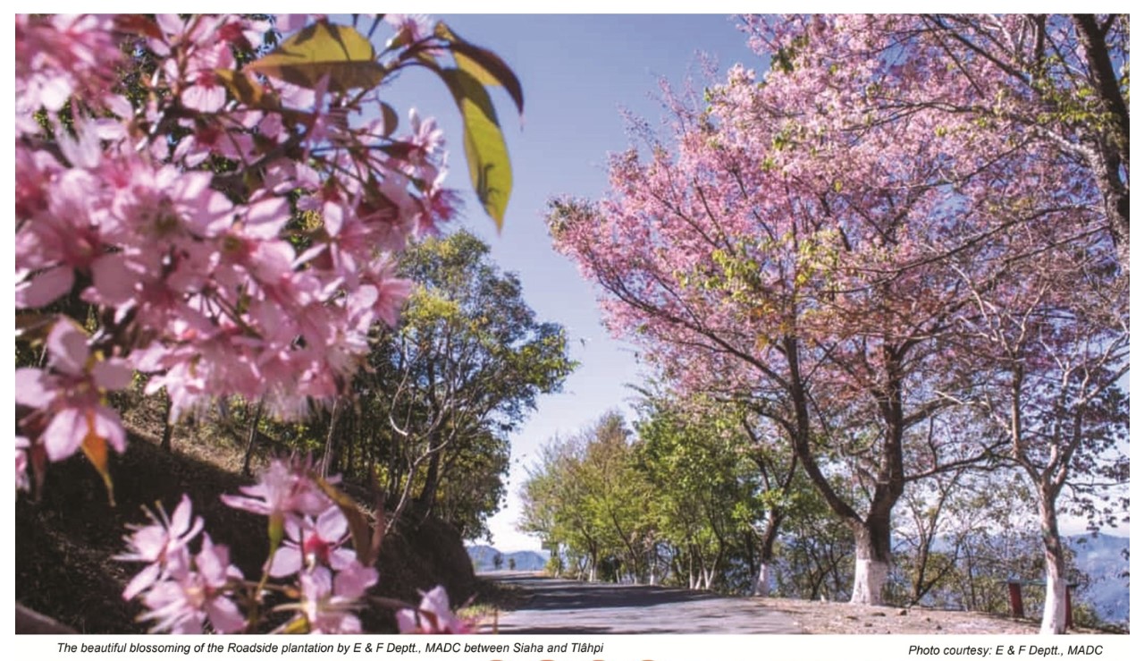 Siaha Cherry Blossom Festival 2022