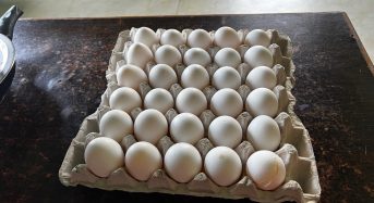 How to boil eggs – how long to boil eggs